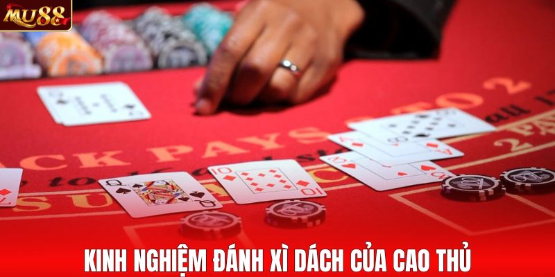 Bỏ túi mẹo đánh xì dách siêu đỉnh của cao thủ