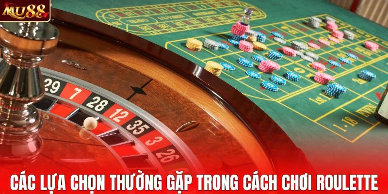Các lựa chọn thường gặp trong cách chơi roulette