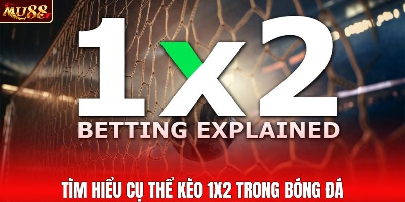 Giải thích chi tiết kèo 1x2 trong bóng đá
