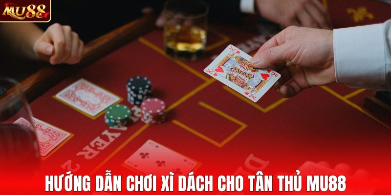 Hướng dẫn chơi xì dách cụ thể cho người mới