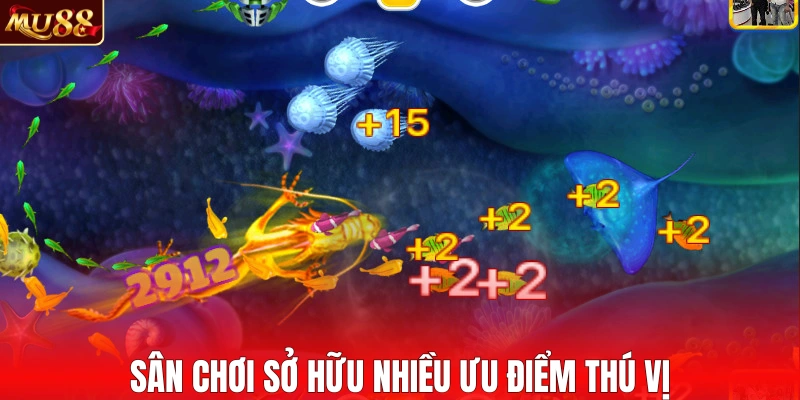 Sân chơi sở hữu nhiều ưu điểm thú vị