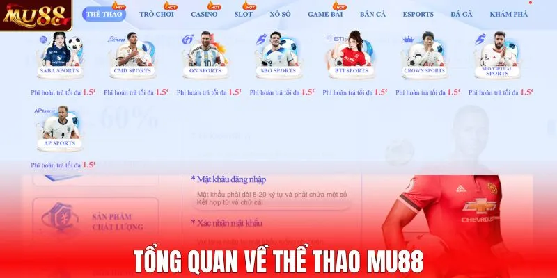 Tổng quan về thể thao MU88
